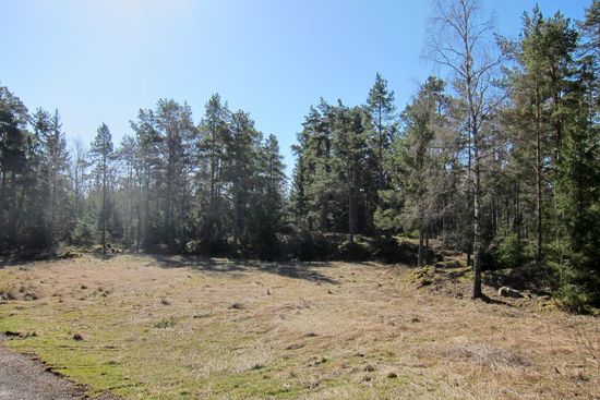 Tomt, Österbyn 3:11, Gräsö, Östhammar