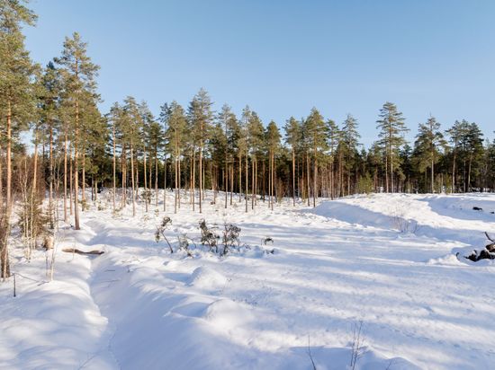 Tomt, Vitmåravägen 12, Oslättfors, Gävle