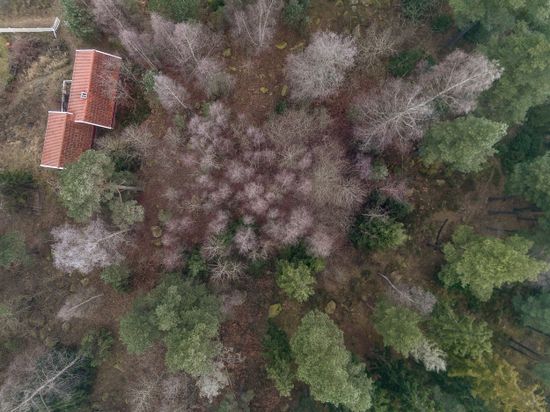 Fritidshus, Källbacken 12, Alsike, Knivsta