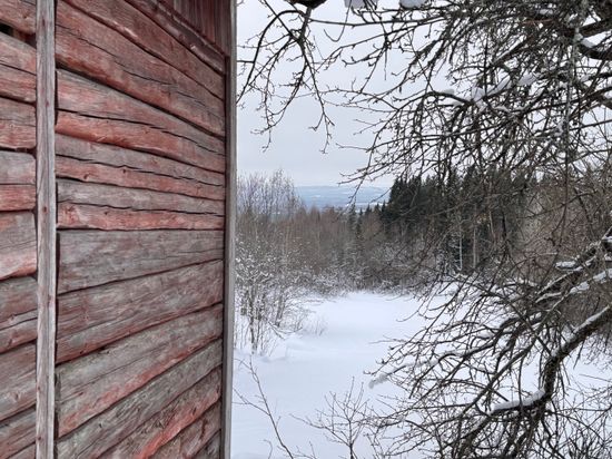 Gård/Skog, Saknar adress, Österås, Ljusdal