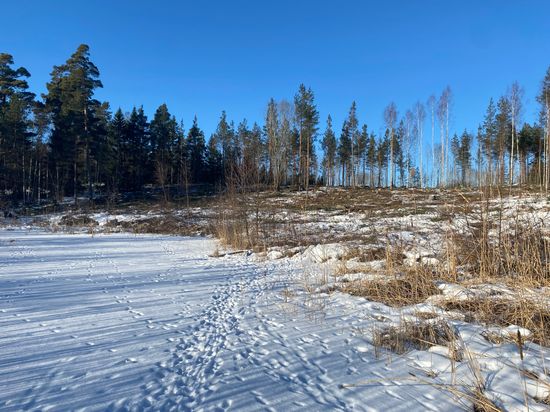 Tomt, Eknö Backe 8, Furusund, Svartnö/Eknö, Norrtälje