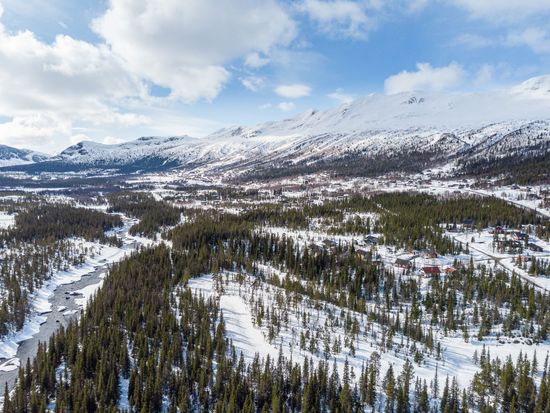 Tomt, Anbud på skogsfastighet i Kittelfjäll, Kittelfjäll, Vilhelmina