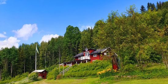 Gård/Skog, Spistorp 10, Båtstad, Torsby