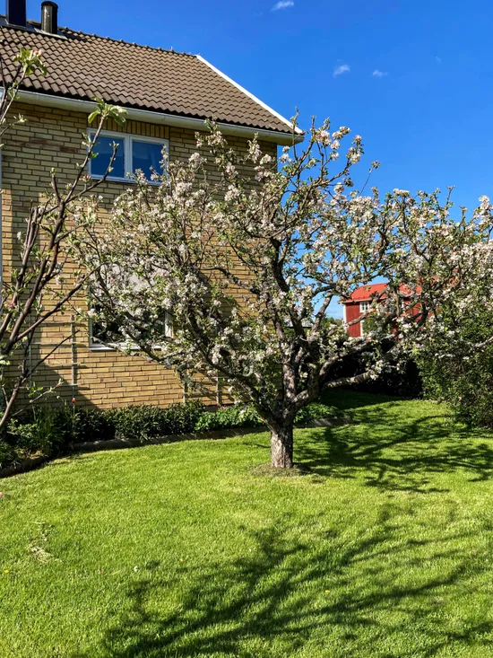 Villa, Mycklevägen 72, Skellefteå