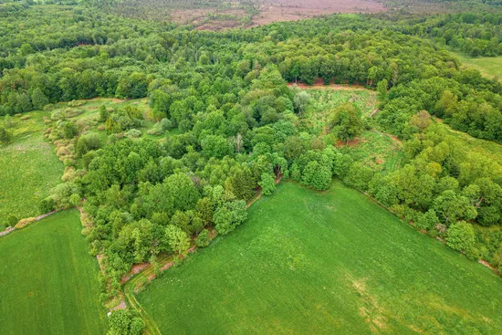 Gård/Skog, Älmhult 2:14, Svensköp, Hörby