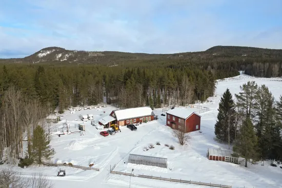 Gård/Skog, Häggnäs 11, Vindeln