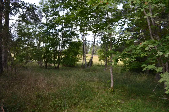 Tomt, Anderssvedjavägen 71, Anderssvedja, Norrtälje