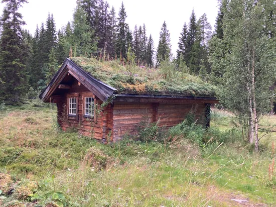 Tomt, Höglekardalen (tomt), Bydalen/Höglekardalen, Åre