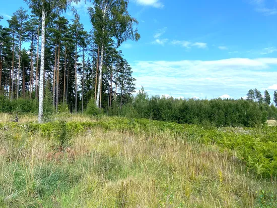 Tomt, Fiskeså 2:18, Malsättra, Norrtälje