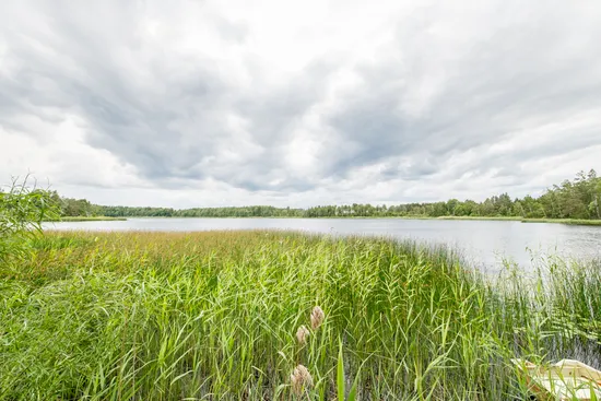 Gård/Skog, Görvälstorpsvägen 6, Görvälstorp, Norrtälje