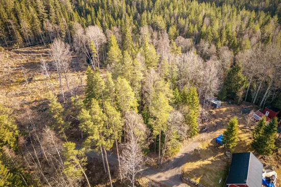 Tomt, Mullsjö pinnahemmet 1:17, Gravsjö - Pinnahemmet, Mullsjö