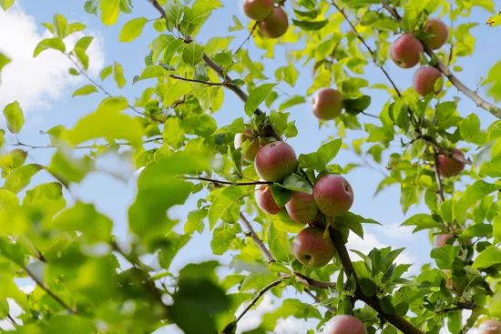 Villa, Blockflöjtsgatan 9, Ruddalen, Göteborg