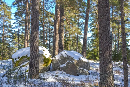Gård/Skog, Skogsinnehav 831 ha, Vaggeryd