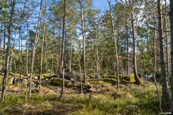 Tomt, Fjärilstigen 9, Raksta/Solberga/Bergholm, Tyresö