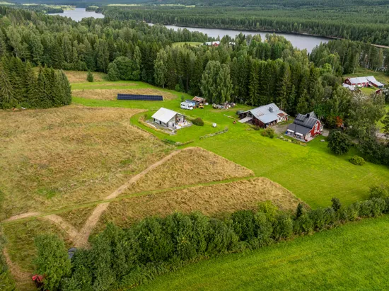 Gård/Skog, Västra Pengfors 21, Vännäs