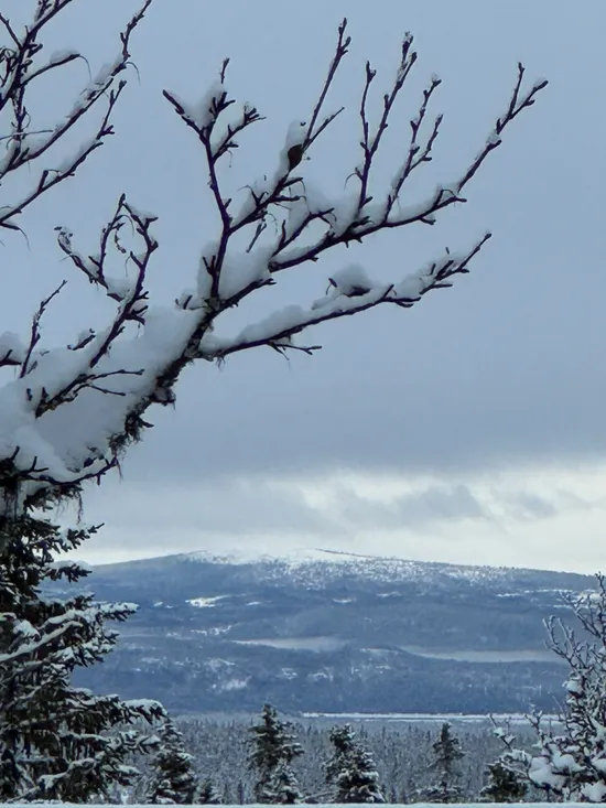 Tomt, Arådalen Gamla renstigen 113, Arådalen, Berg