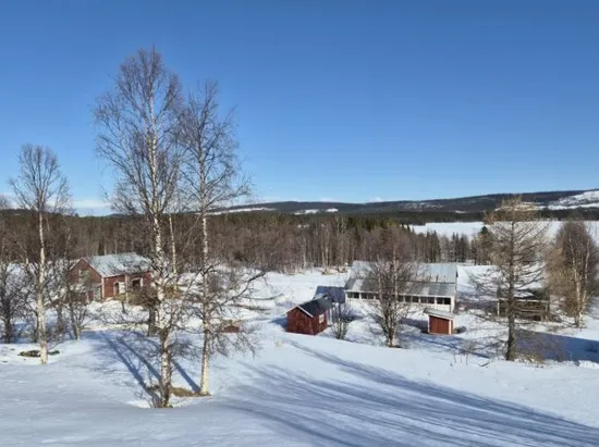 Gård/Skog, Bakvattnet 236, Bakvattnet/Vallrun/Åkersjön, Krokom