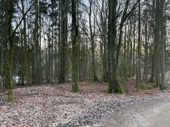 Tomt, Broslätt Morkullavägen 7, Höör