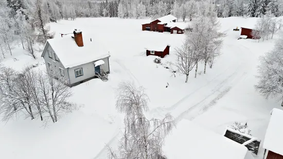 Gård/Skog, Olofs väg 53, Hornmyr, Lycksele