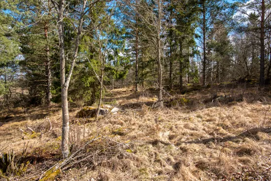 Tomt, Ånestad 1:31, Vårdsberg, Linköping