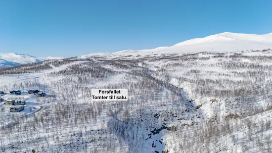 Tomt, Forsfallet-FF02, Hemavan/Birke, Storuman