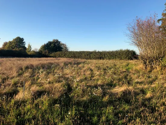 Tomt, Västkustvägen 280, Fleninge, Helsingborg