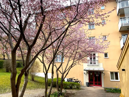 Bostadsrätt, Erik Sandbergs Gata 7, Råsunda, Solna