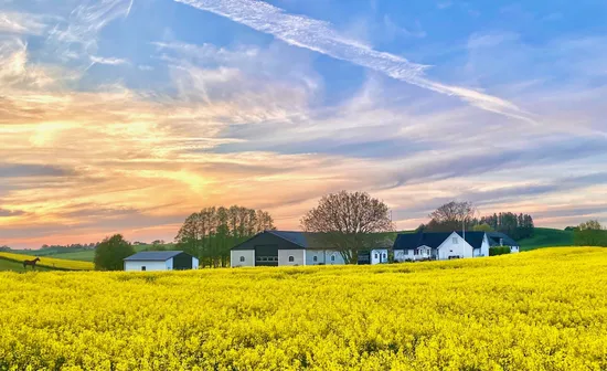 Villa, Gård/Skog, Munka Tågarp Munkatorp 1, Munka Tågarp, Tomelilla