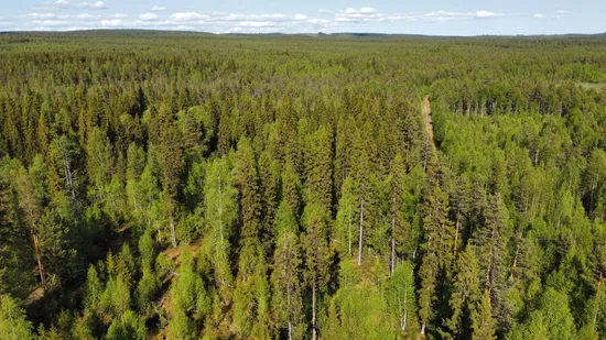 Gård/Skog, Kattisberg 23, Norsjö