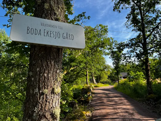 Gård/Skog, Fliseryds-Boda 206, Mönsterås