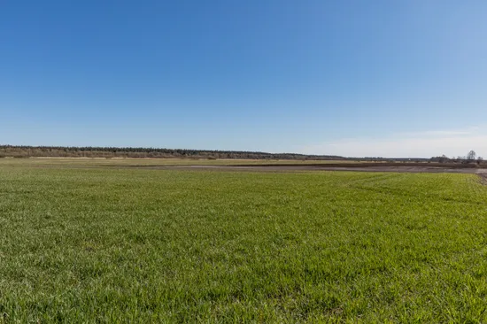 Gård/Skog, Del av Vallstena Medebys 1:16, Gotland