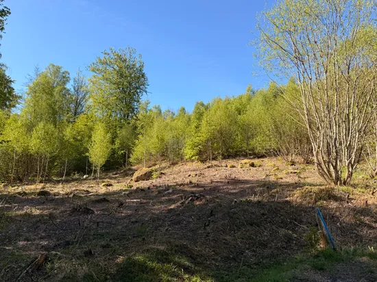 Tomt, Kanotvägen 11, Skyrup, Hässleholm