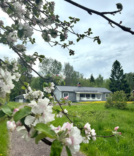 Villa, Tallrisvägen 2, Grums
