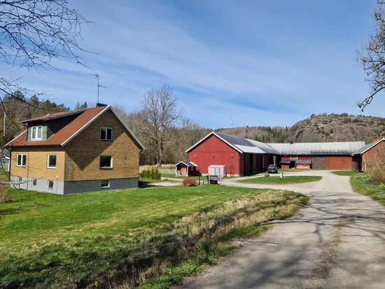 Gård/Skog, Olseröd 1, Tanumshede, Tanum