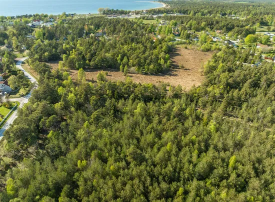 Gård/Skog, Gutebyvägen / Brandvägen, Tofta, Gotland