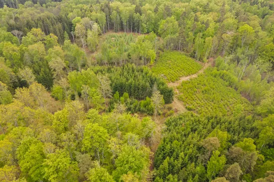 Gård/Skog, Bassköpsvägen 466, Bockeboda, Kristianstad