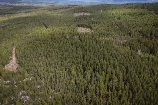 Gård/Skog, Ljusdal svedja 20:2, Ljusdal