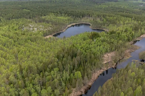 Gård/Skog, Ljusdal kvarnberg 1:23, Ljusdal