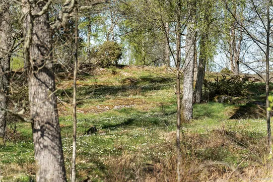 Tomt, Tomt 1-5 med adress Dalbogården, Hol, Vårgårda