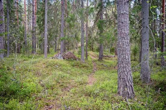 Gård/Skog, Hälledalsvägen 48, Ramvik, Härnösand