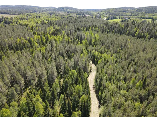 Gård/Skog, Robertsfors storrödningsberg 1:5, Robertsfors