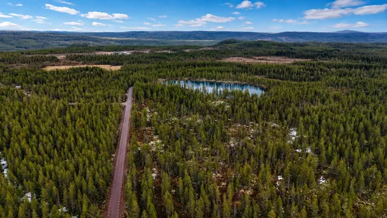 Gård/Skog, Storbäcken, Storbäcken, Älvdalen