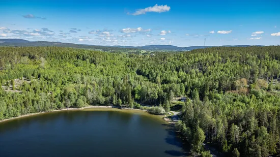 Gård/Skog, Kramfors rossvik 6:8, Kramfors