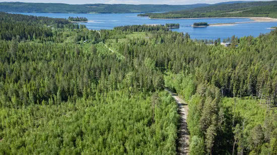 Gård/Skog, Del av ÅNGE LERINGEN 1:97 (Skogen), Ånge