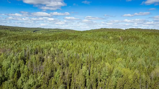 Gård/Skog, del av KRAMFORS KÄRR 1:73 och del av Kärr 1:98, Kramfors