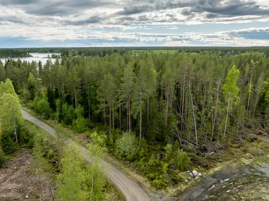 Tomt, Vitnäsudden 100 & 102, Ratu, Robertsfors