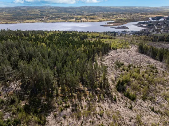 Gård/Skog, Sundsvall Kärvsta 2:38, Stöde, Sundsvall