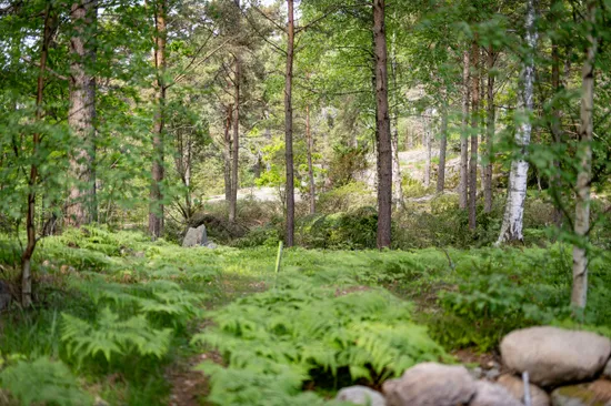 Tomt, Galtö Södra, g, Tanum
