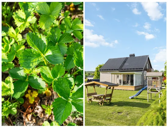 Villa, Ängsgatan 7, Bergeforsen, Timrå