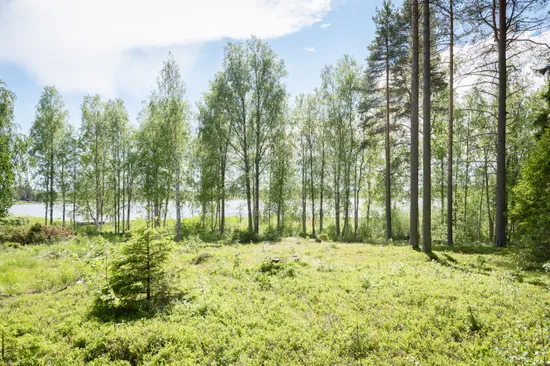 Tomt, Strandtomt i sydvästläge!, Börtnäsheden, Luleå